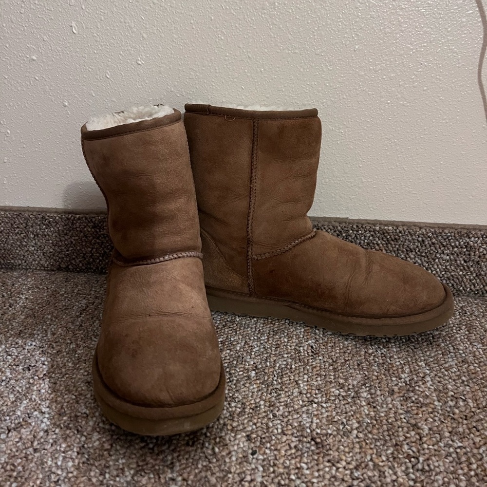Short chestnut uggs